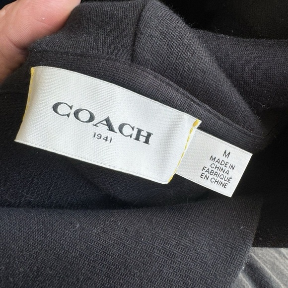 Dinosaur Embroidered Black Hoodie - Picture 6 of 7